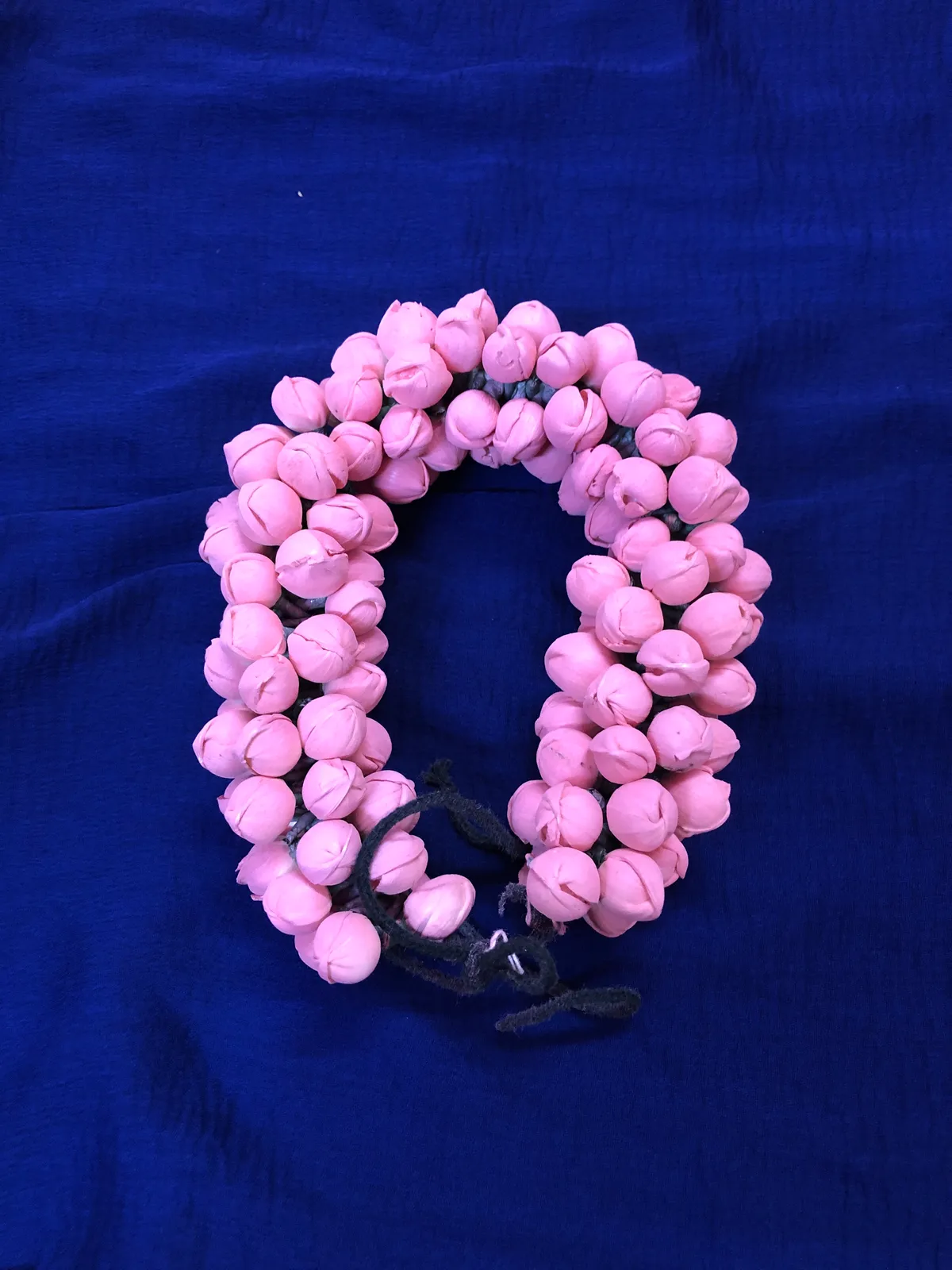 Jasmine color Veni