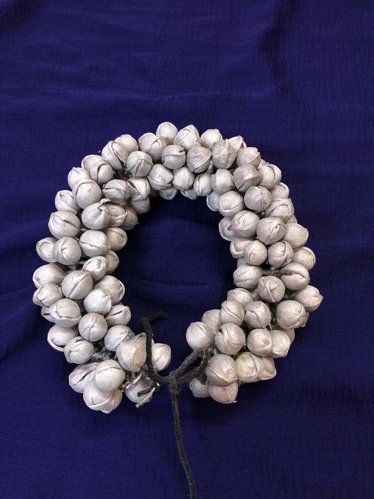 Jasmine color Veni