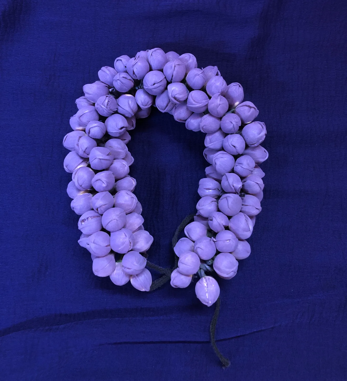 Jasmine color Veni