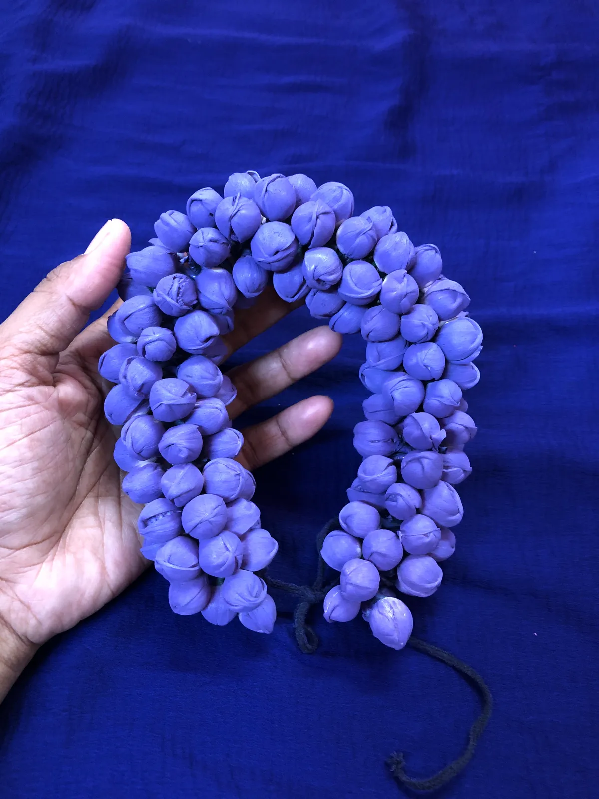 Jasmine color Veni - 2