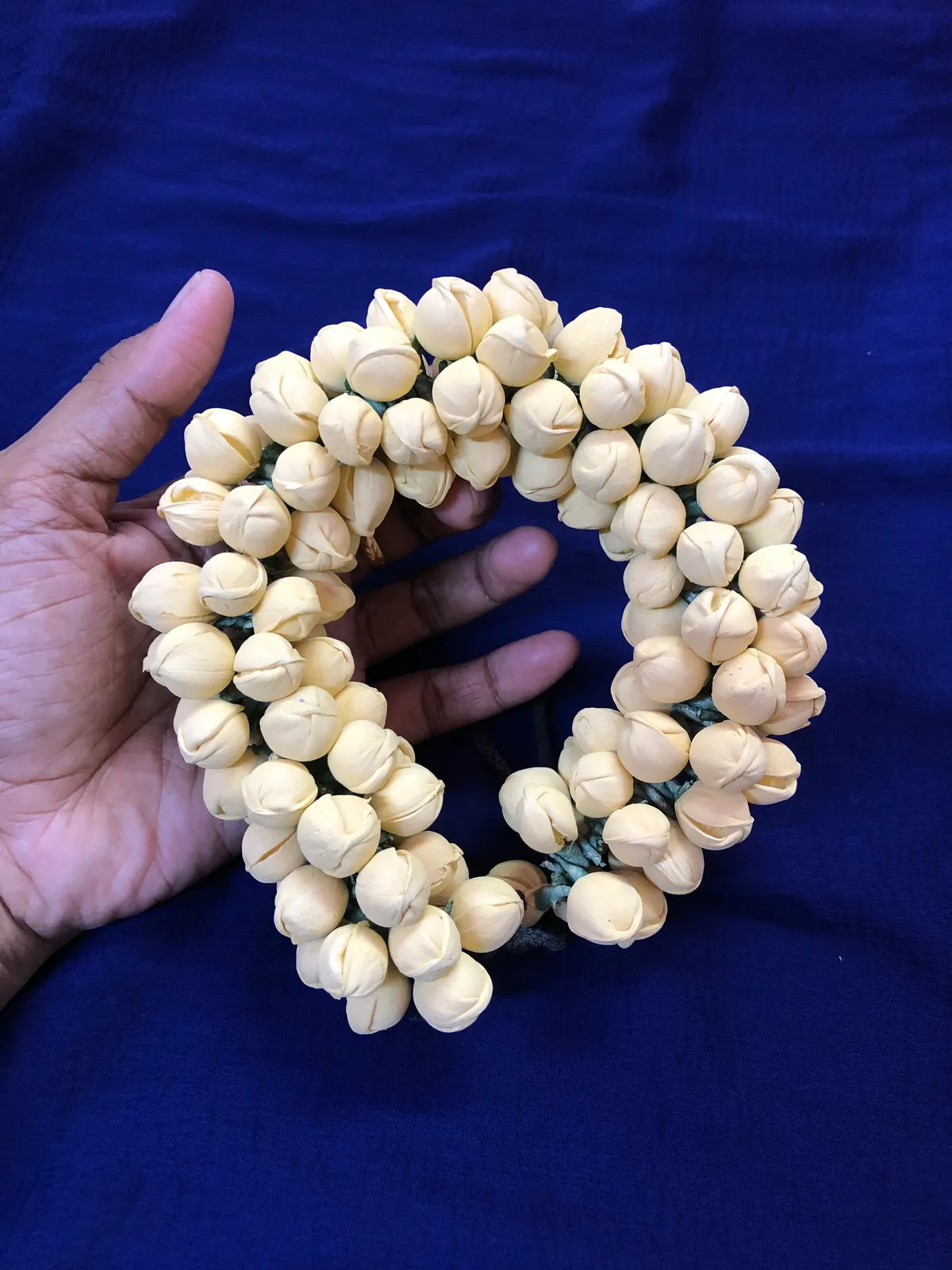 Jasmine color Veni - 2
